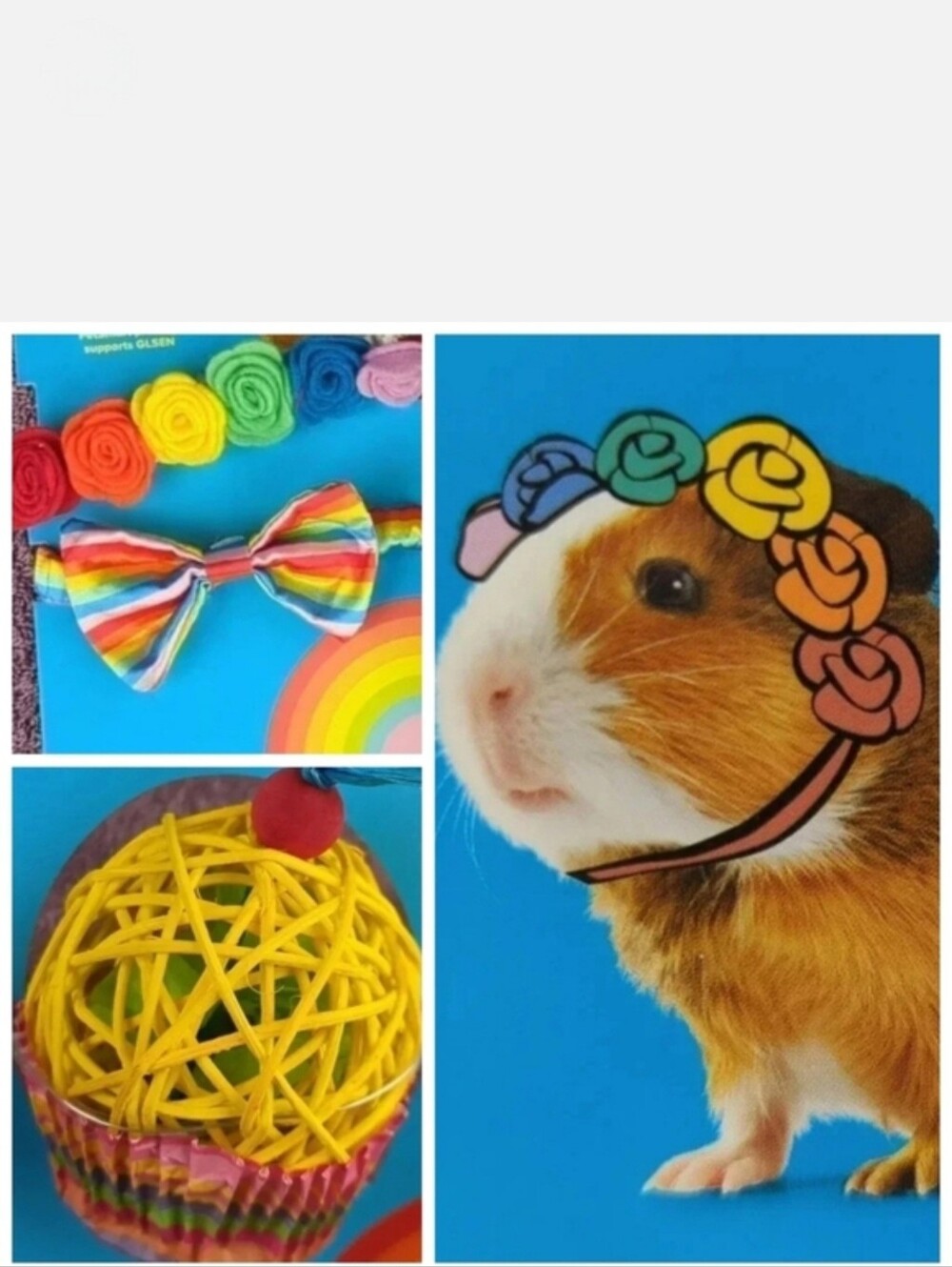 Pride Themed Small Animal Accessories & Cupcake Shaped Chew Toy